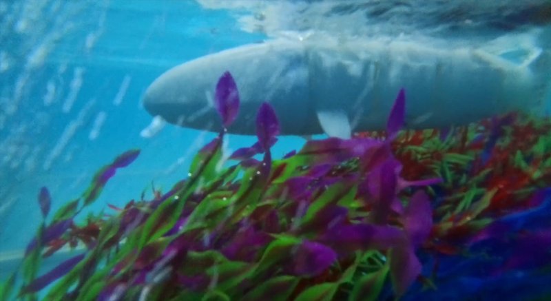 Robotic Fish Station-Holding