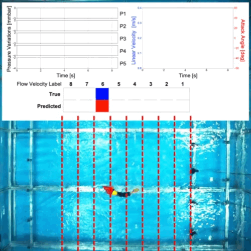 Ambient Flow Perception of Freely Swimming Robotic Fish Using an Artificial Lateral Line System